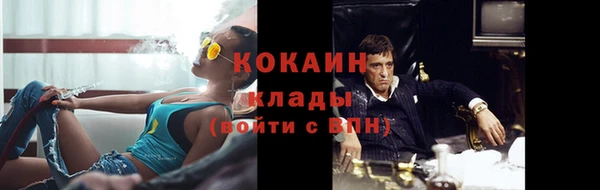сатива Белокуриха