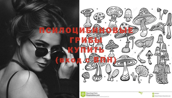 Альфа ПВП Белоозёрский