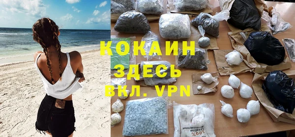сатива Белокуриха
