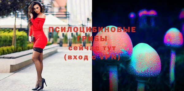 альфа пвп Беломорск