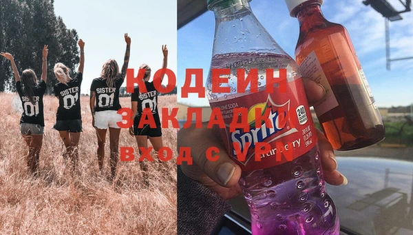 сатива Белокуриха