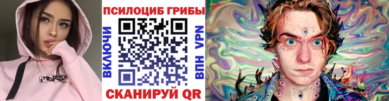 Галлюциногенные грибы Cubensis Бузулук