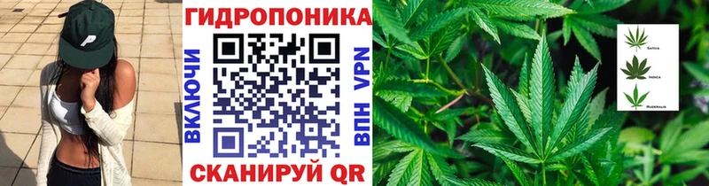 закладка  Бузулук  Конопля конопля 